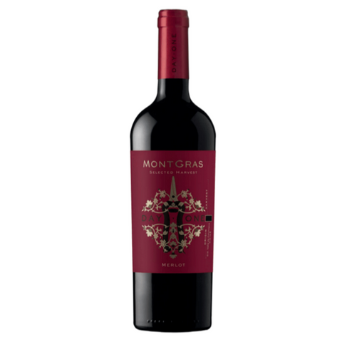 Vino Tinto Montgras Day One Merlot Valle de Colchagua Chile 750ml