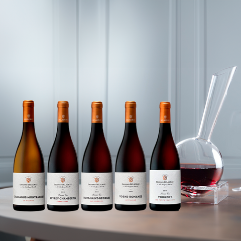Edouard Delauney Paquete Terroirs de Borgoña + Decantador Vinocchio Italese