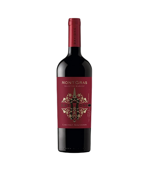 Vino Tint Montgras Day One Cabernet Sauvignon Chille Valle del Maipo Chile 750ml