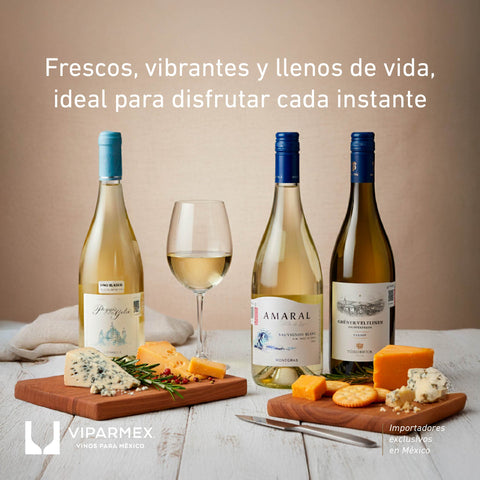 Vinos Blancos Secos: Selección de Etiquetas Premium