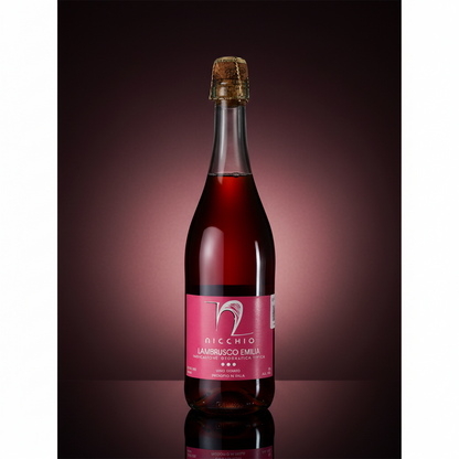Vino Rosado Espumoso Lambrusco Nicchio Rosato Italia 750 ml
