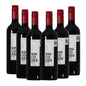Tinto Rincones Premium Cabernet Sauvignon Montgras Valle Central Chile 750ml (6 pzs)