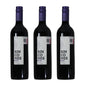 Vino Tinto Rincones Premium Merlot Montgras Valle Central Chile 750ml (3 Pzs)