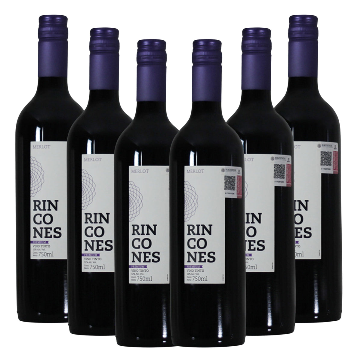 Vino Tinto Montgras Rincones Merlot Montgras Valle Central Chile 750ml (6 Pzs)