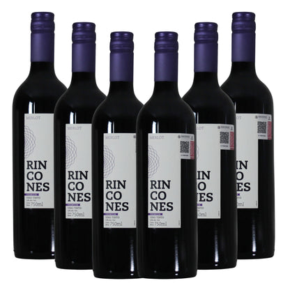 Vino Tinto Montgras Rincones Merlot Montgras Valle Central Chile 750ml (6 Pzs)