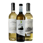 Kit Trebbiano