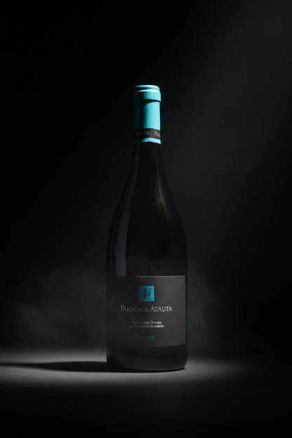 Vino Tinto Parada de Atauta DO Ribera del Duero Castilla y Leon España 750ml